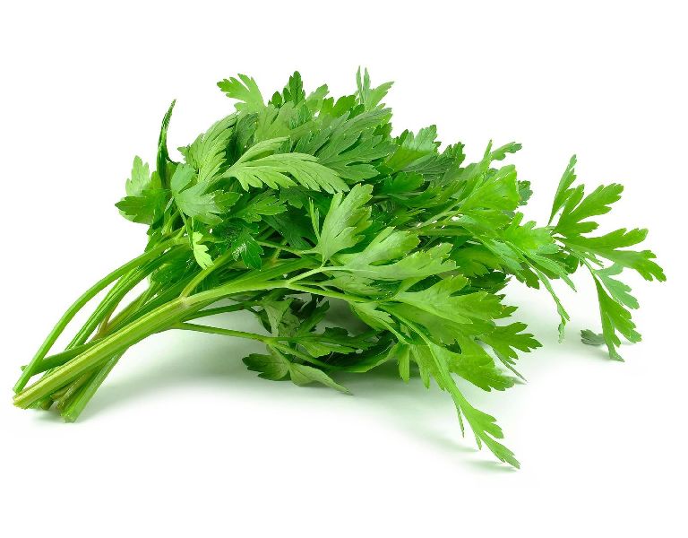  Celery Leaves